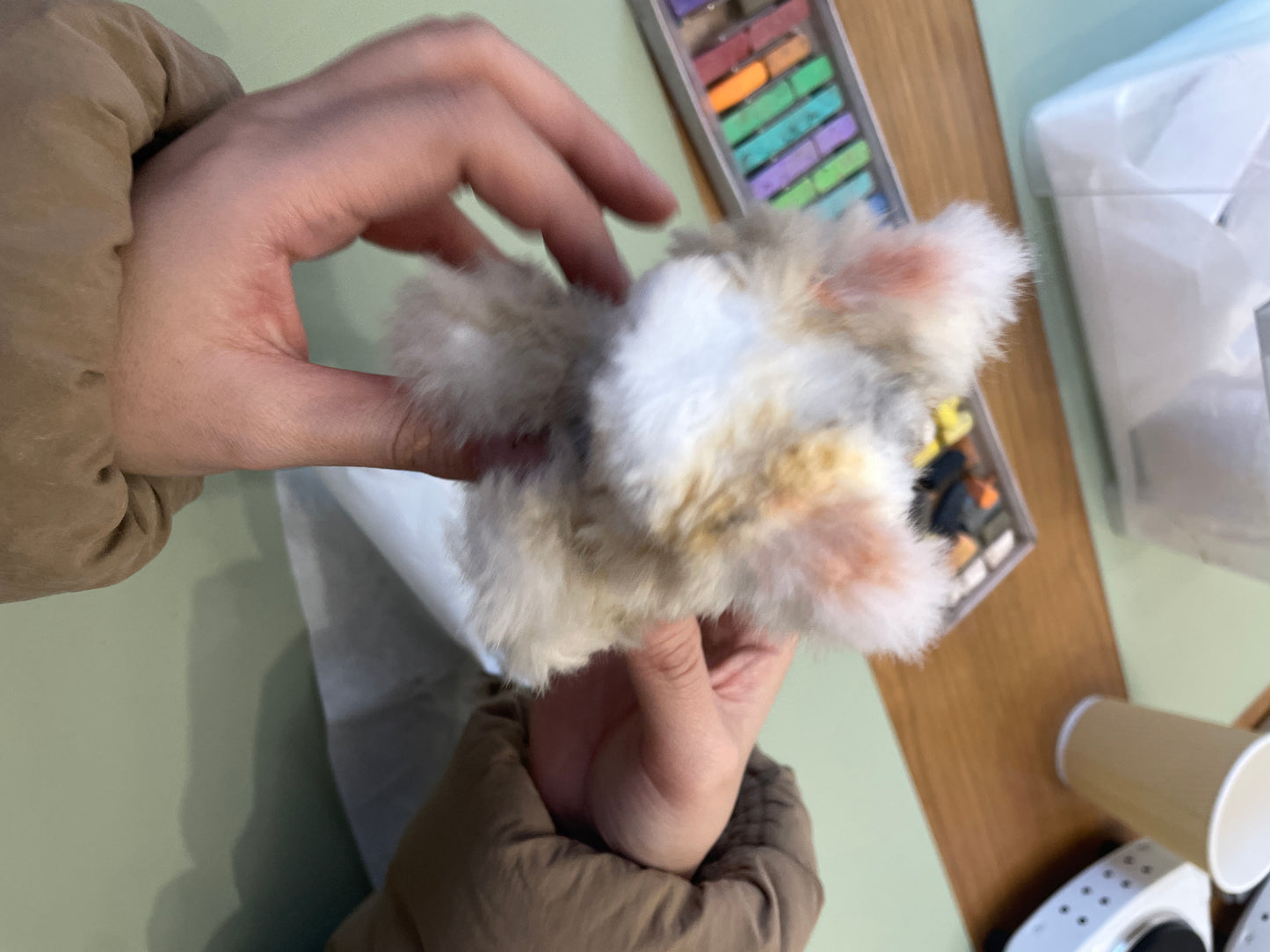 Fluffy Feline Craft Workshop - Organised by Kitti Meow Mochi (Our Local Maker)